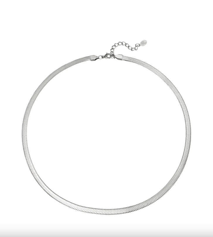 Silver Snake Bone Necklace - Kissed Jewellery